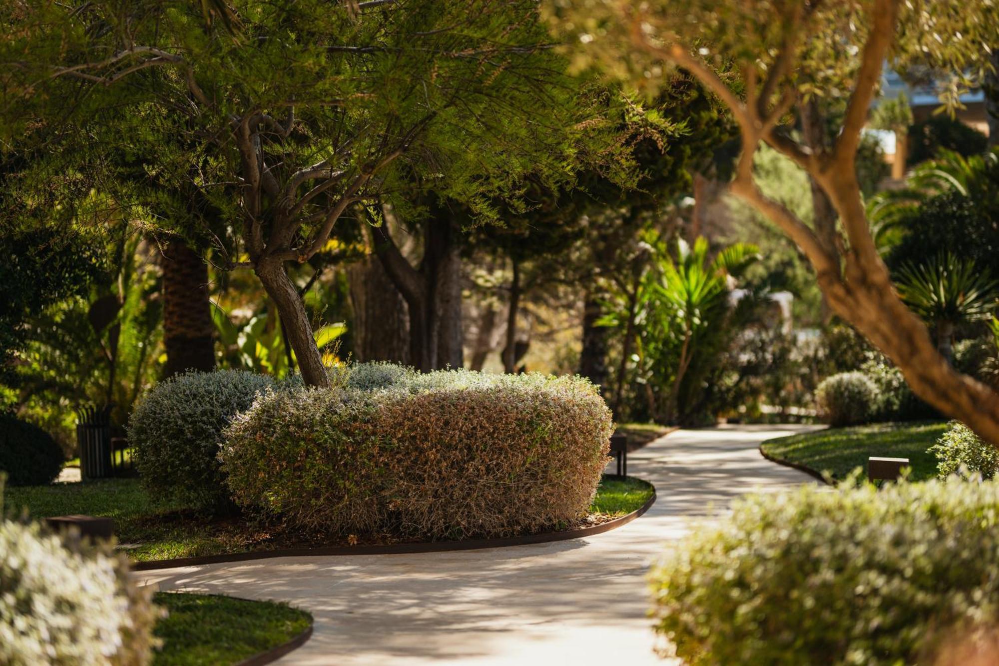 Secrets Mallorca Villamil Resort & Spa - Adults Only 帕格拉 外观 照片 A path at the resort
